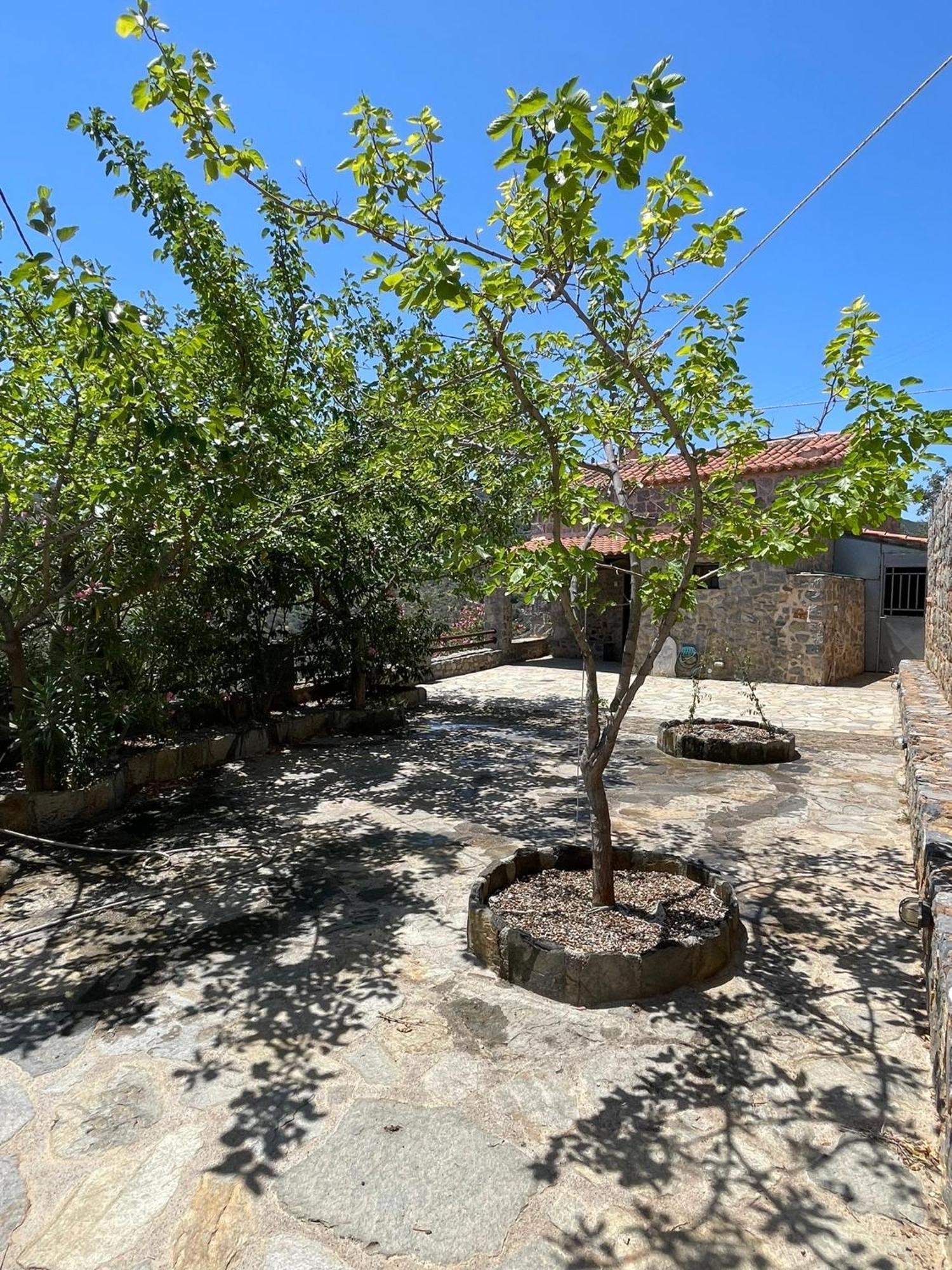 Guesthousekamara Monemvasía Dış mekan fotoğraf